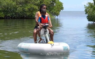 Nautic Blue : Une nouvelle activité pour découvrir les milieux naturels