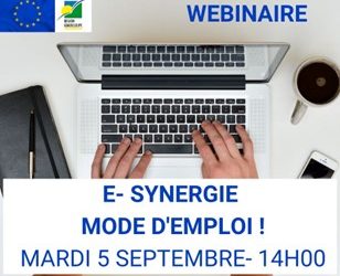 WEBINAIRE: E- SYNERGIE- Demande de subvention- Mode d’emploi