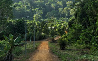 FEADER REGION GUADELOUPE